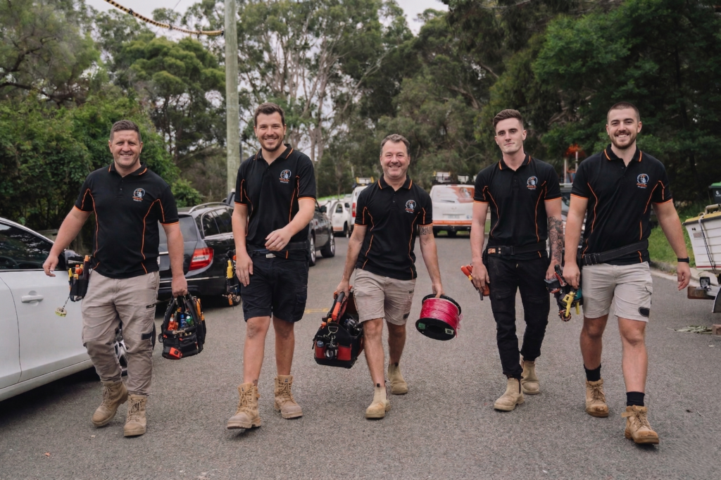 Professional electrical services in Glenhaven